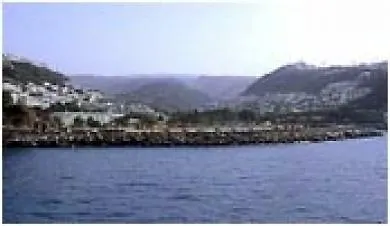 Koka
